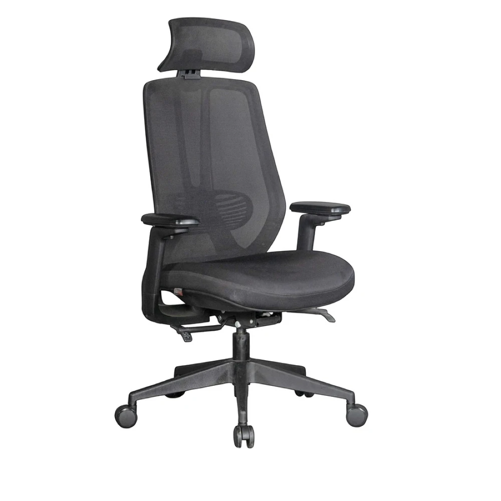 Eco High Back Ergonomic Chair
