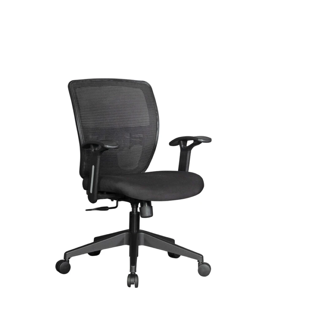 Storm Medium Back Ergonomic Chair