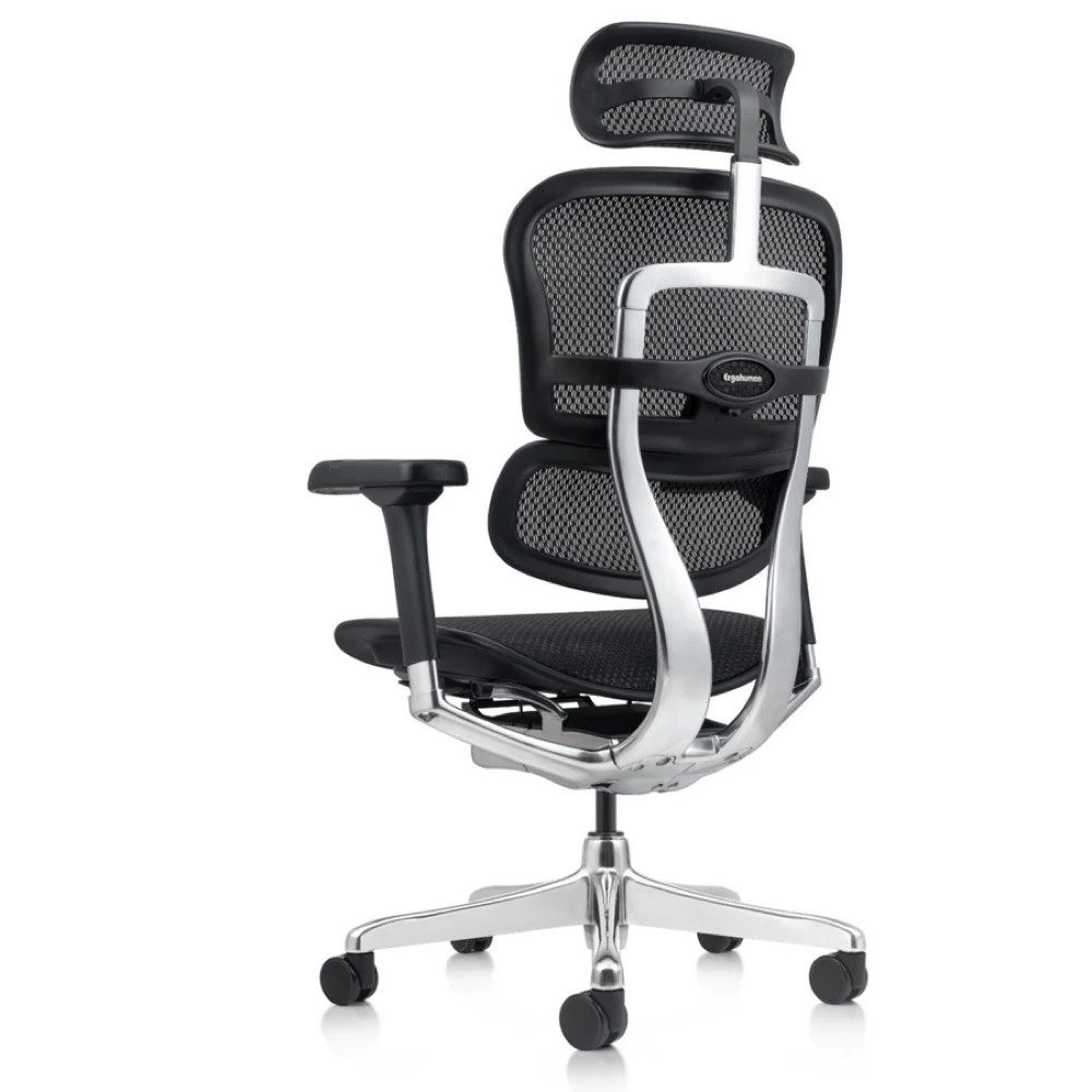 Ergo Human Mesh Chair